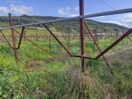 Οικόπεδο 6.000τ.μ. για ενοικίαση-Ηράκλειο κρήτης