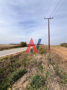 Οικόπεδο 6.250τ.μ. για πώληση-Πικρολίμνη » Παλαιό αγιονέρι