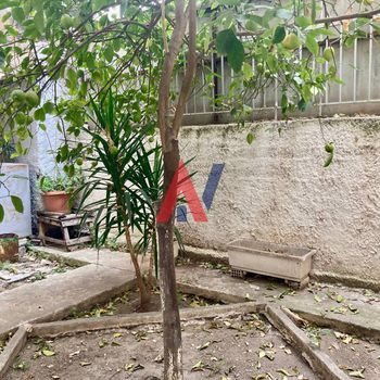 Warehouse 113 sqm for sale
