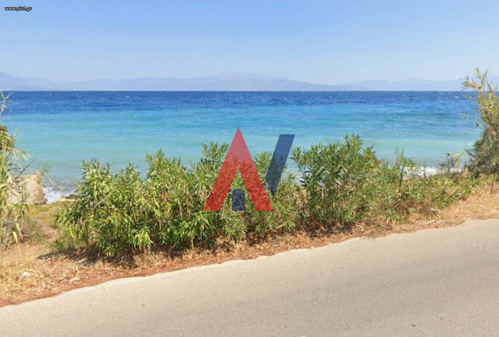 Αγροτεμάχια 270 τ.μ. προς πώληση, Πεταλού