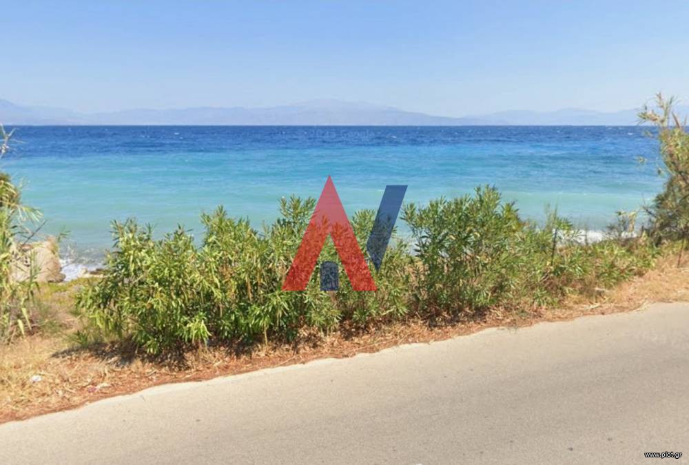 Αγροτεμάχια 270 τ.μ. προς πώληση, Πεταλού