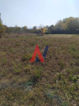 Οικόπεδο 1.450τ.μ. για πώληση-Γόμφοι » Πηγή