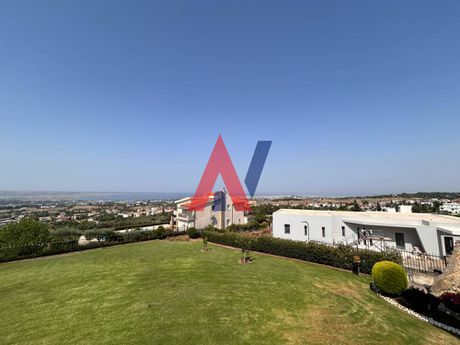 Αγροτεμάχια 6.100τ.μ. για πώληση-Νίκαια » Νέα λεύκη