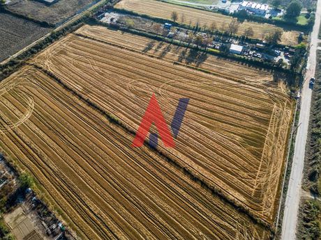 Αγροτεμάχια 11.750τ.μ. για πώληση-Εχέδωρος » Σίνδος