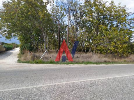 Αγροτεμάχια 41.800τ.μ. για πώληση-Γόμφοι » Λυγαριά