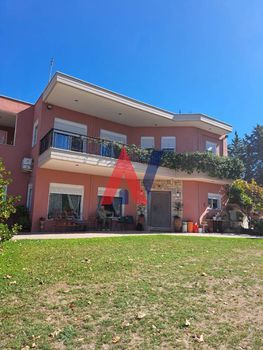 Μονοκατοικία 408τ.μ. για πώληση-Θέρμη » Νέο ρύσιο