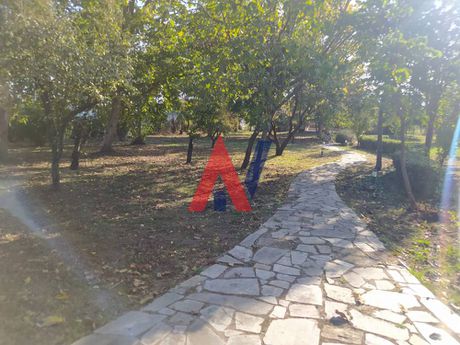 Μονοκατοικία 2.500τ.μ. για πώληση-Γόμφοι » Πηγή