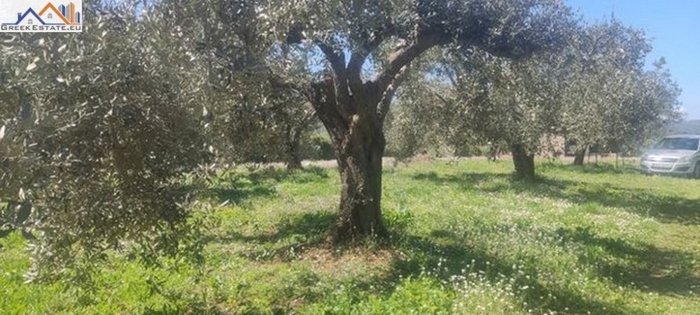 Οικόπεδο 2.000 τ.μ. προς πώληση, Κέντρο Παραποτάμου