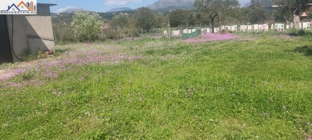 Οικόπεδο 2.000 τ.μ. προς πώληση, Κέντρο Παραποτάμου