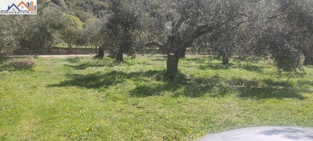 Οικόπεδο 2.000 τ.μ. προς πώληση, Κέντρο Παραποτάμου