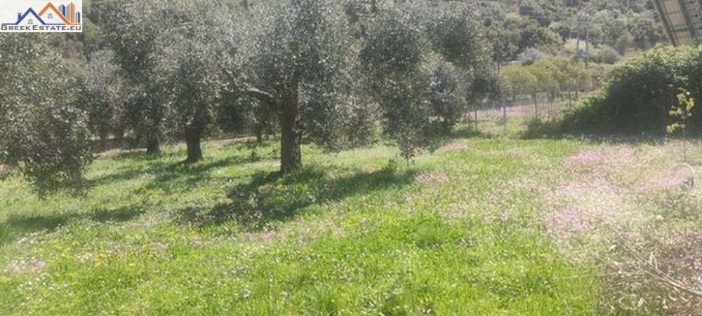 Οικόπεδο 2.000 τ.μ. προς πώληση, Κέντρο Παραποτάμου