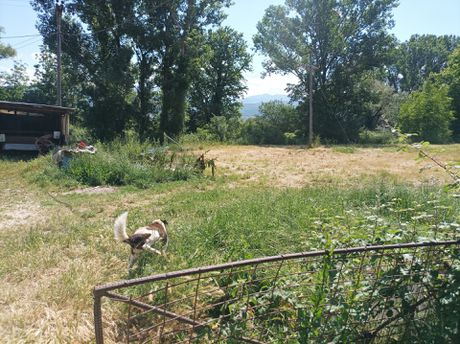 Land plot 2.393 sqm for sale