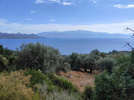 Αγροτεμάχια 5.435τ.μ. για πώληση-Λευκάδα