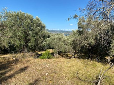 Αγροτεμάχια 6.483τ.μ. για πώληση-Λευκάδα