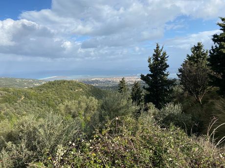 Αγροτεμάχια 3.642τ.μ. για πώληση-Λευκάδα