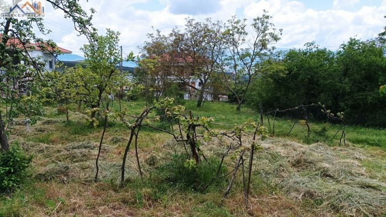 Land plot 875 sqm for sale, Ioannina Prefecture, Mpizanio