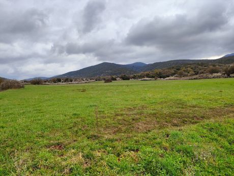 Parcel 43.000 sqm for sale
