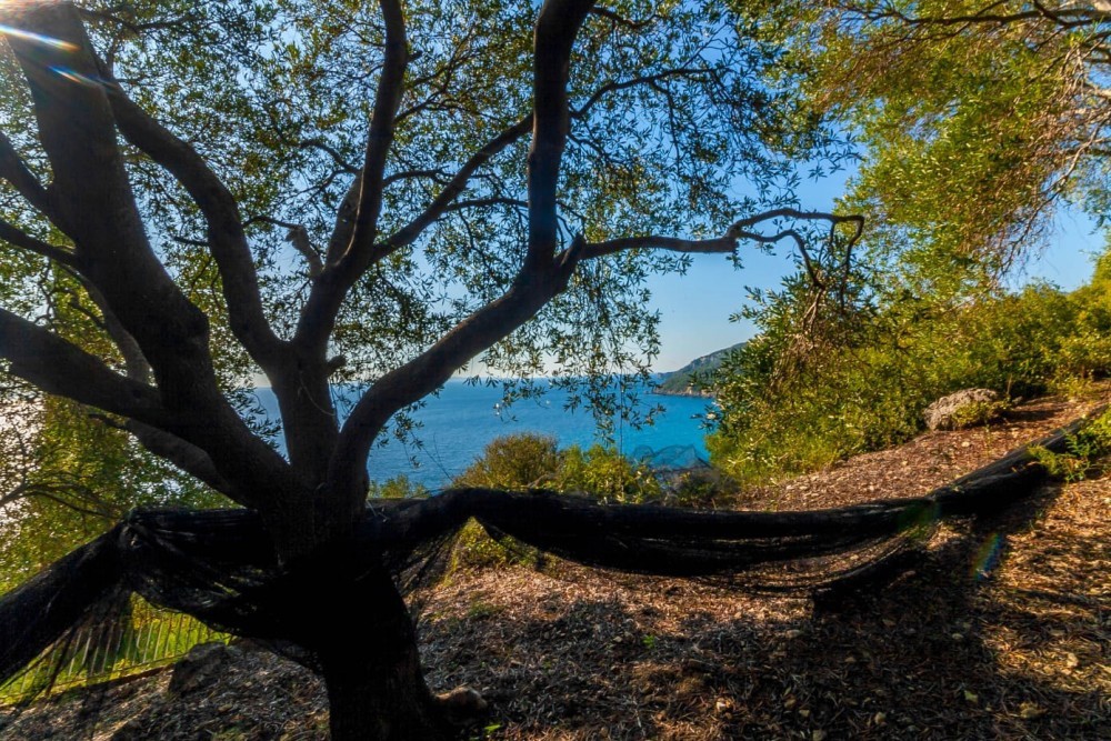 Αγροτεμάχια 4.000 τ.μ. πρός πώληση, Ν. Πρέβεζας, Πάργα