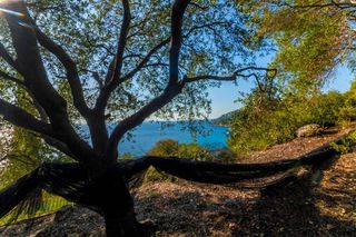Αγροτεμάχια 4.000 τ.μ. για πώληση, Ν. Πρέβεζας, Πάργα-thumb-1