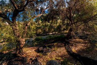 Αγροτεμάχια 4.000 τ.μ. για πώληση, Ν. Πρέβεζας, Πάργα-thumb-6