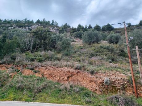 Αγροτεμάχια 2.200τ.μ. για πώληση-Λευκάδα