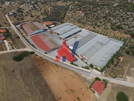 Βιομηχανικός χώρος 23.000 τ.μ. για πώληση