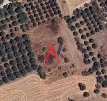 Οικόπεδο 2.175τ.μ. για πώληση-Επανομή » Λεύκες