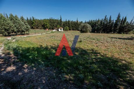 Αγροτεμάχια 14.460τ.μ. για πώληση-Σταυρούπολη » Νικόπολη