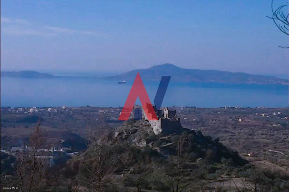 Οικόπεδο 870 τ.μ. προς πώληση, Μεσοχώρι Βοιών