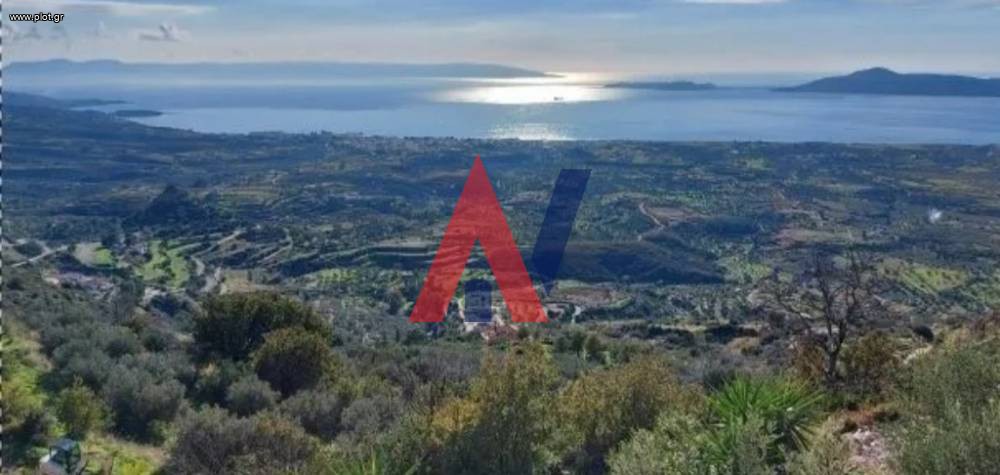 Οικόπεδο 870 τ.μ. προς πώληση, Μεσοχώρι Βοιών