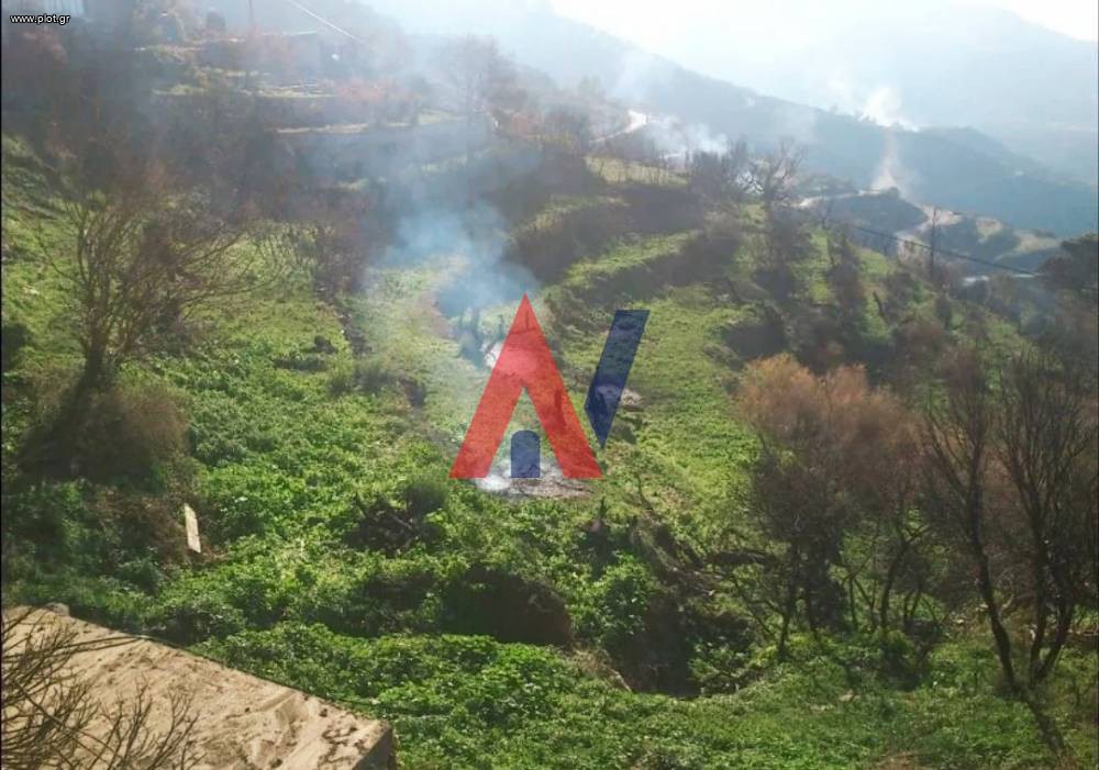 Οικόπεδο 870 τ.μ. προς πώληση, Μεσοχώρι Βοιών
