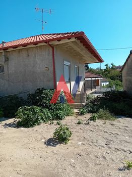 Μονοκατοικία 67τ.μ. για πώληση-Νέα ζίχνη » Δραβήσκος