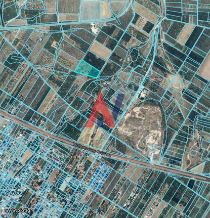 Αγροτεμάχια 9.241 τ.μ. για πώληση, Ν. Καβάλας, Ορφανό