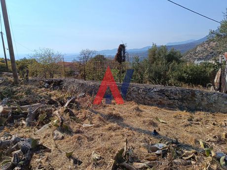 Land plot 625 sqm for sale