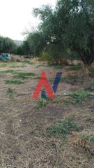 Οικόπεδο 1.371 τ.μ. για πώληση, Αχαΐα, Αιγιάλεια-thumb-5