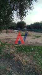 Οικόπεδο 1.371 τ.μ. για πώληση, Αχαΐα, Αιγιάλεια-thumb-17