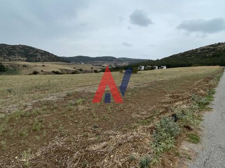 Αγροτεμάχια 25.000τ.μ. για πώληση-Καλλιθέα » Πεντάλοφος