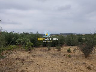 Οικόπεδο 1.050 τ.μ. για πώληση, Ν. Ρεθύμνου, Αρκάδι-thumb-11