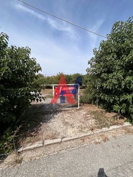 Οικόπεδο 1.100τ.μ. για πώληση-Κοιλάδα » Ελευθερές