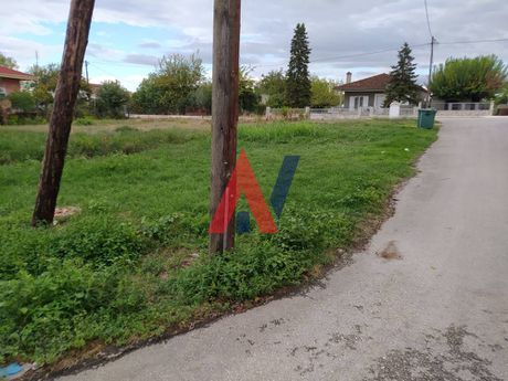 Αγροτεμάχια 315τ.μ. για πώληση-Γόμφοι » Πηγή