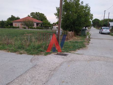 Οικόπεδο 960τ.μ. για πώληση-Γόμφοι » Πηγή