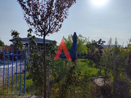 Επιχείρηση 40τ.μ. για πώληση-Πυλαία » Ελαιώνες