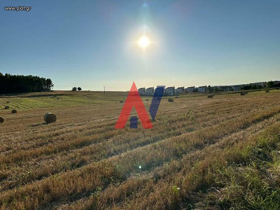 Αγροτεμάχια 4.370 τ.μ. για πώληση, Χαλκιδική, Κασσάνδρα