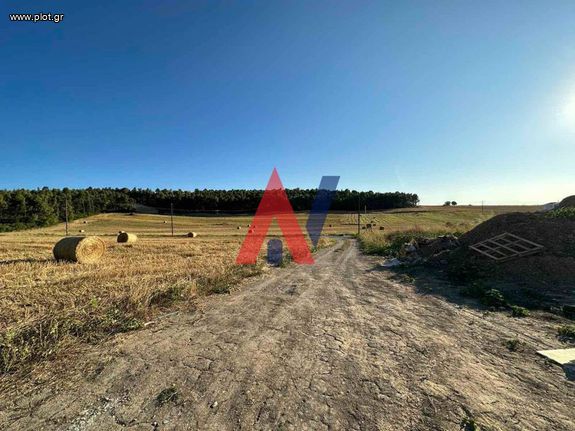 Αγροτεμάχια 4.370 τ.μ. για πώληση, Θεσσαλονίκη - Κέντρο, Κέντρο