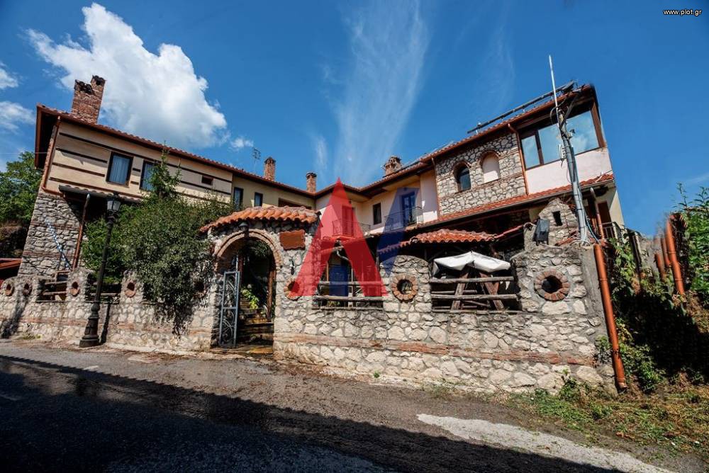 Hotel 600 sqm for sale, Pieria Prefecture, Pieria