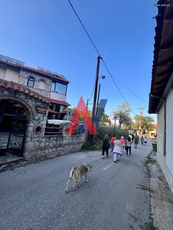 Hotel 600 sqm for sale, Pieria Prefecture, Pieria