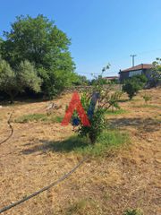 Οικόπεδο 826 τ.μ. πρός πώληση, Λακωνία, Φαρίδα-thumb-2