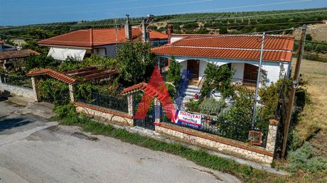 Μονοκατοικία 200τ.μ. για πώληση-Τριγλία » Νέα τένεδος