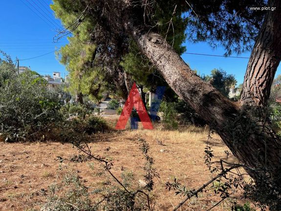 Οικόπεδο 250 τ.μ. για πώληση, Αθήνα - Ανατολικά Προάστια, Αρτέμιδα (λούτσα)