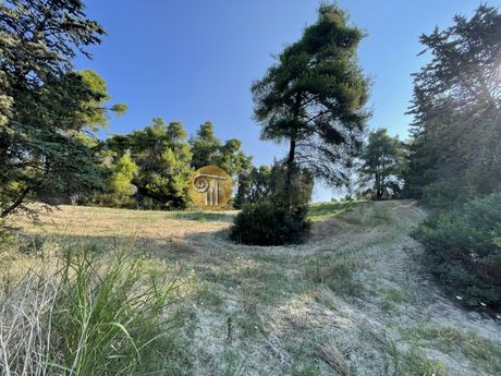 Parcel 6.790sqm for sale-Kassandra » Siviri